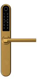 Smart Lock - Langskiltesæt 38x280mm Smart Lock BG2000 guld u/skandin. lås
